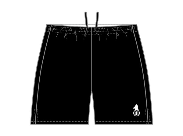 レギュラー